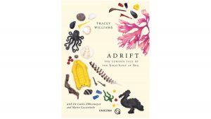 Book Review: Adrift: The Curious Tale of the Lego Lost at Sea 